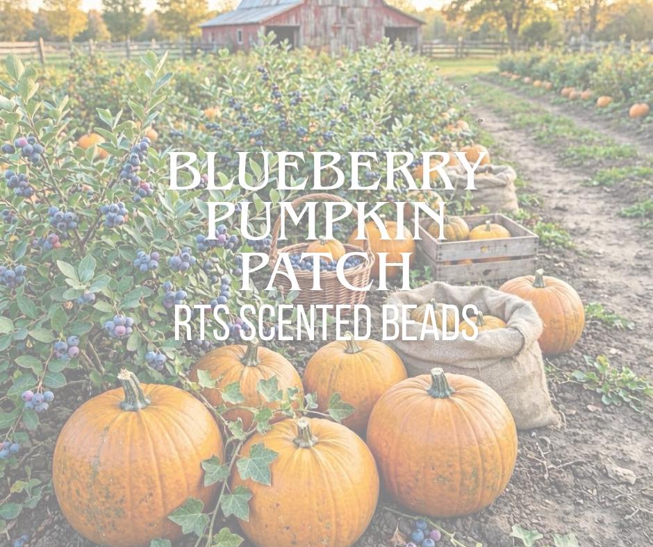 RTS Blueberry Pumpkin Patch Scented Beads