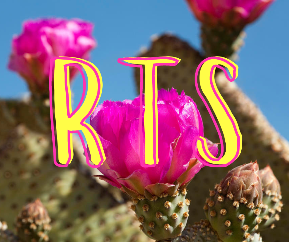 RTS Baja Cactus Scented Beads
