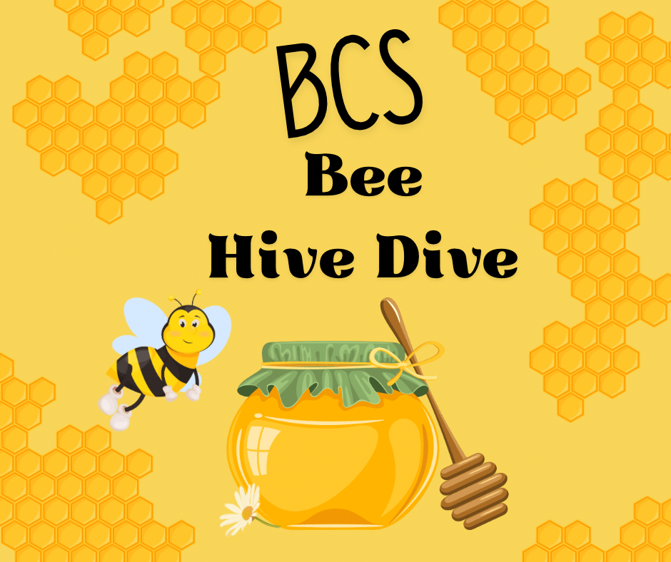 BCS Bee Hive Dive