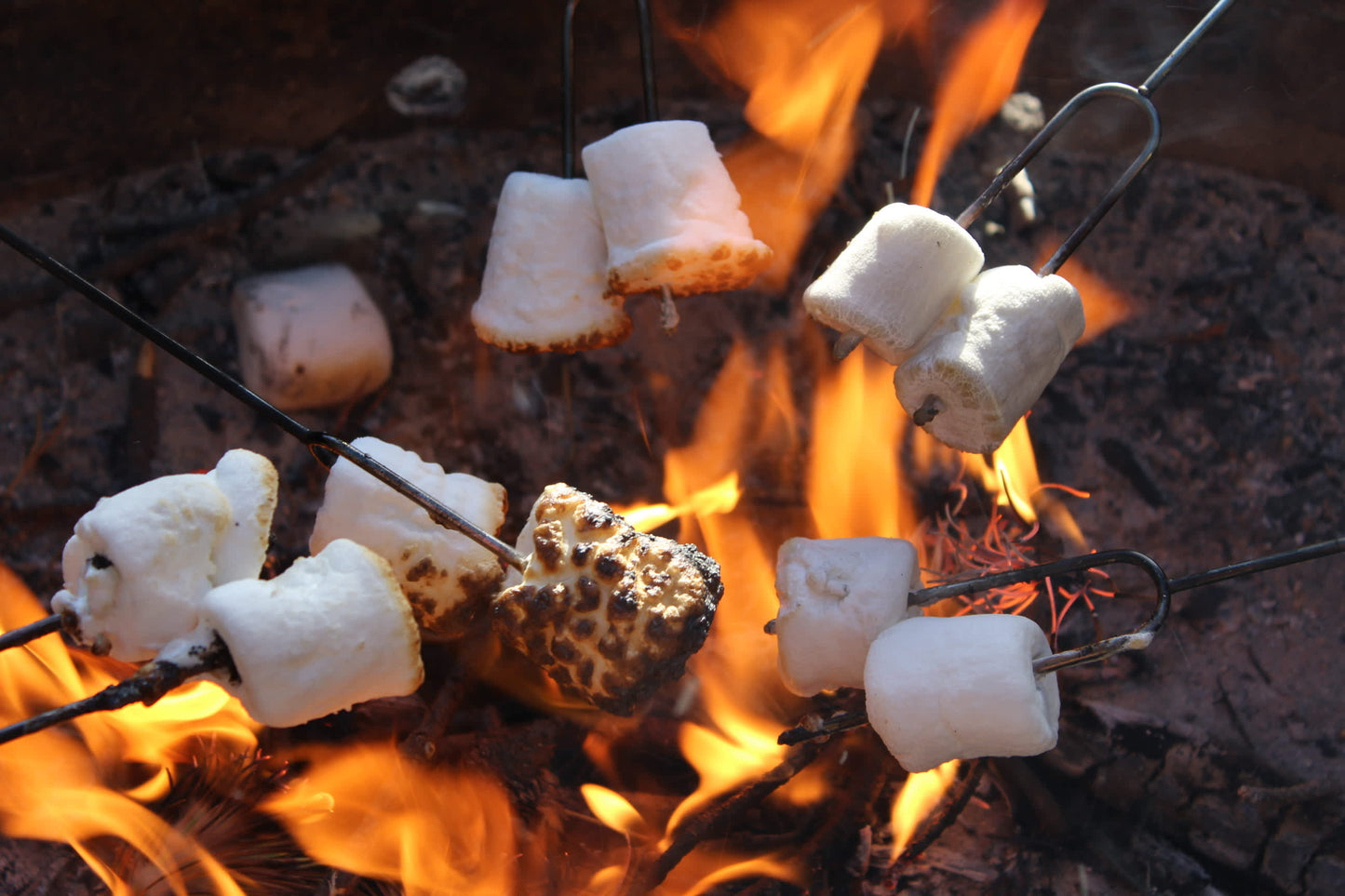 Marshmallow Fireside Pre scented Freshie Beads